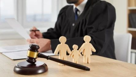 Psychological Impact of Guardianship Disputes on Families