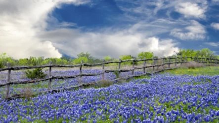 Hensley & Krueger Secures $3.5 Million Dollar Recovery in Complex Texas Hill Country Trust Dispute