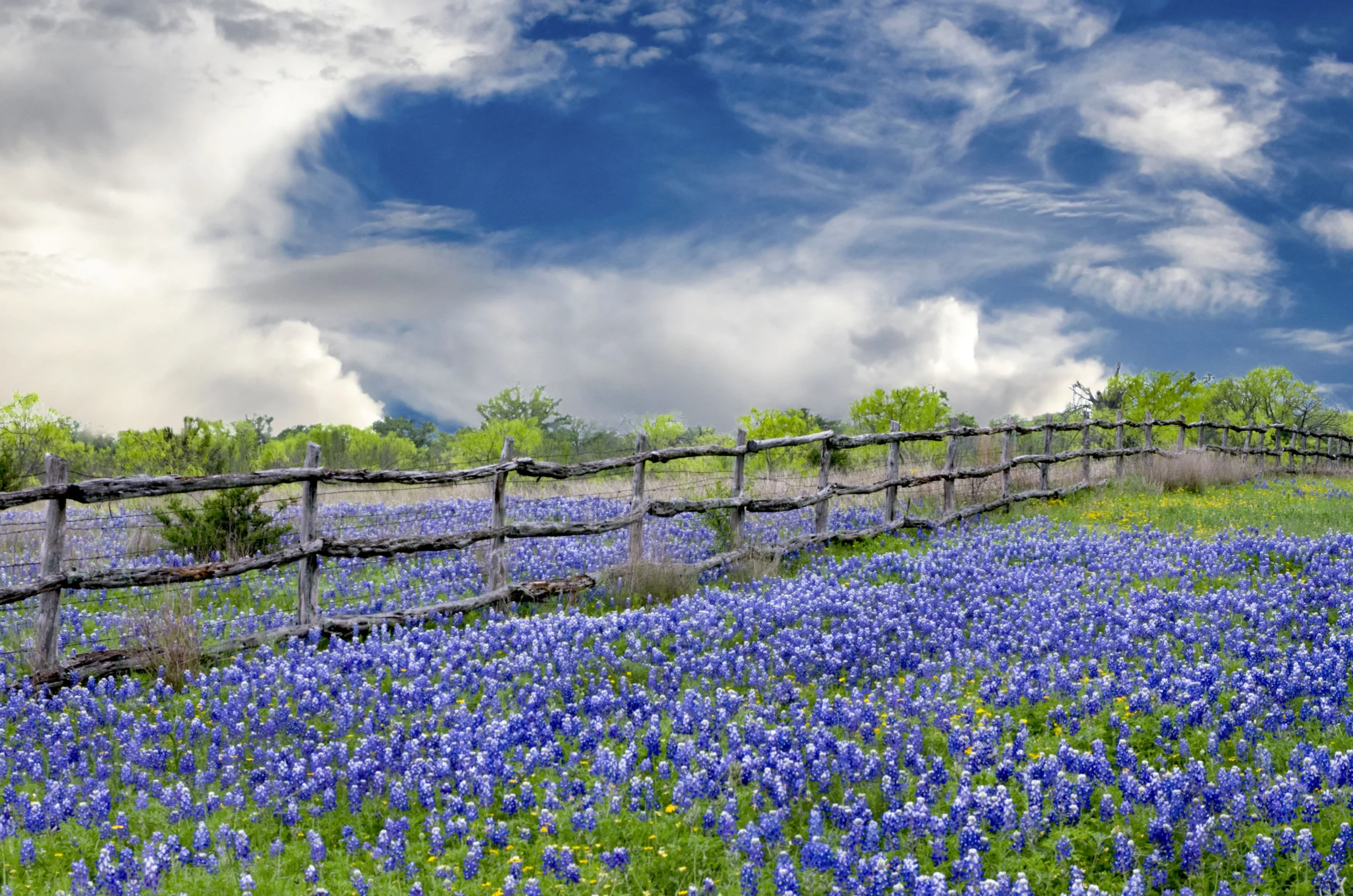 Hensley & Krueger Secures $3.5 Million Dollar Recovery in Complex Texas Hill Country Trust Dispute